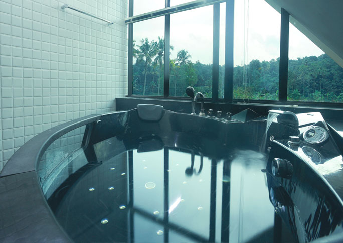 Jacuzzi tub beside a window facing the forest